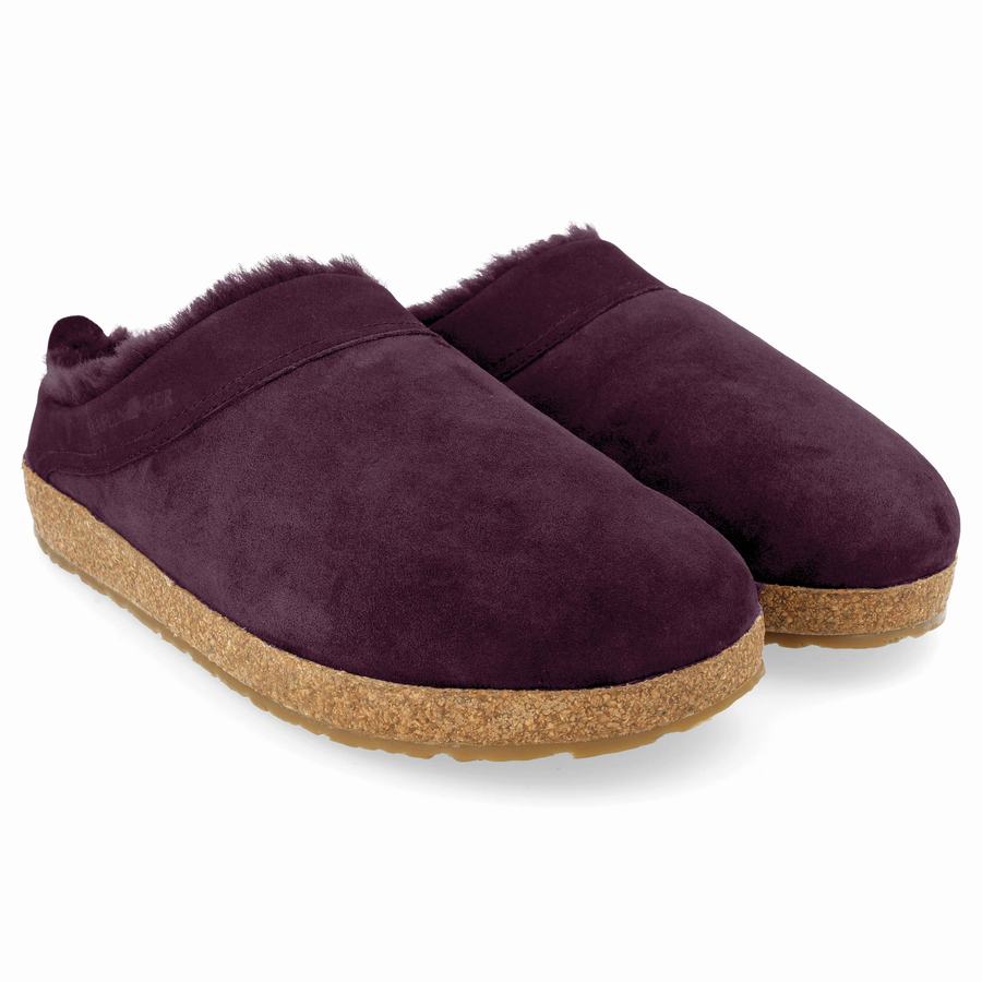 Haflinger Snowbird Clogs Herren Lila | BMK5935AS