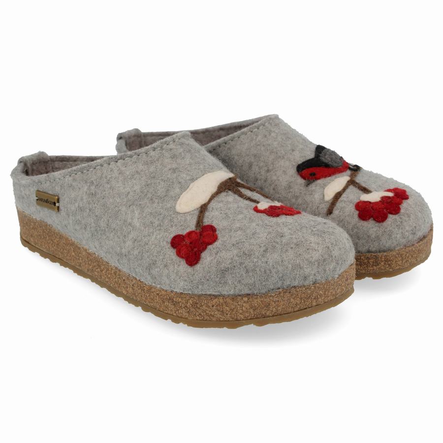 Haflinger Winterbird Clogs Damen Silber Grau | SZN7626PJ