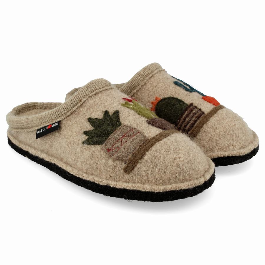 Haflinger Cactus Novelty Hausschuhe Damen Beige | FYZ185PO